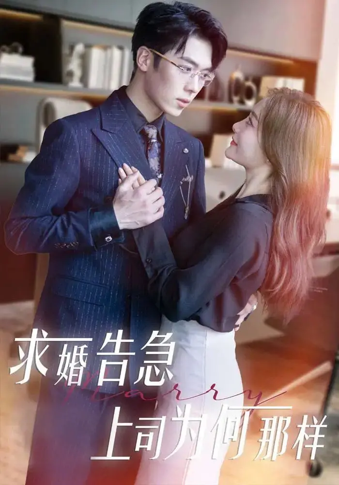 《求婚告急上司为何那样》：办公室恋情？甜蜜套路还是惊悚陷阱？