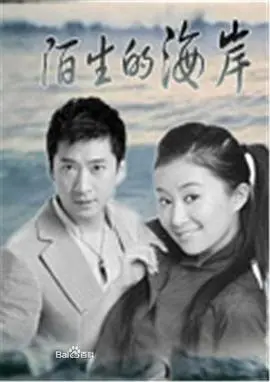 《陌生的海岸》：情感迷雾中的暗流涌动，当记忆与现实交织，真相是否终将浮现？